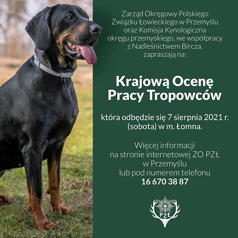 Krajowa Ocena Pracy Tropowców – Łomna, 07 sierpnia 2021 r. -ZAPRASZAMY!
